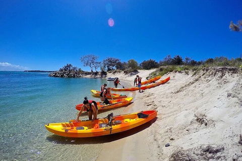 2.5hr Gold Coast Kayaking & Snorkelling Tour - Accommodation Main Beach 4