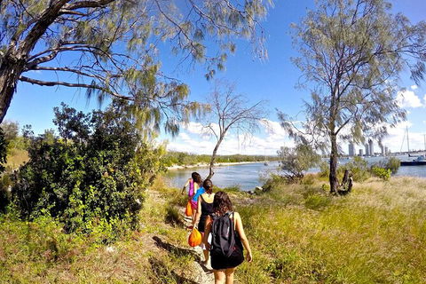 2.5hr Gold Coast Kayaking & Snorkelling Tour - Accommodation Main Beach 5