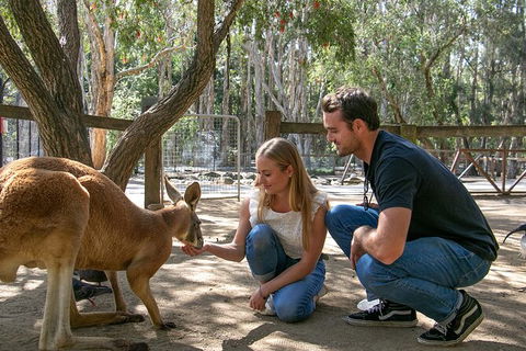 Currumbin Wildlife Sanctuary General Entry Ticket - Accommodation Main Beach 1