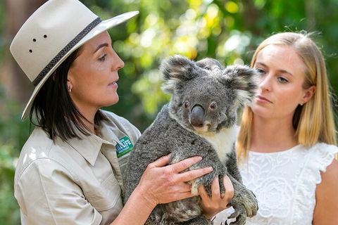 Currumbin Wildlife Sanctuary General Entry Ticket - Accommodation Main Beach 6