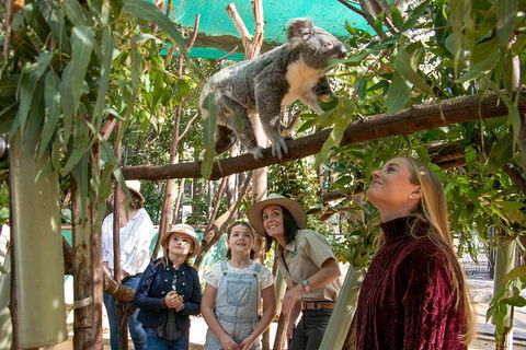 Currumbin Wildlife Sanctuary General Entry Ticket - Accommodation Main Beach 14