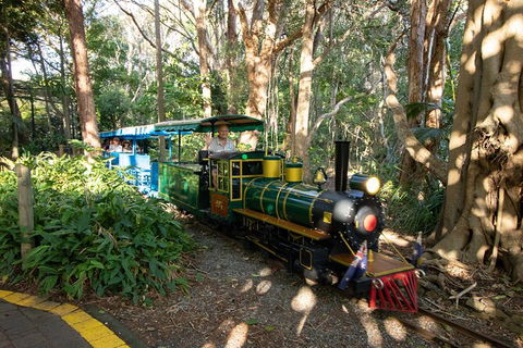 Currumbin Wildlife Sanctuary General Entry Ticket - Accommodation Main Beach 13
