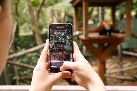 Currumbin Wildlife Sanctuary General Entry Ticket - Accommodation Main Beach 4