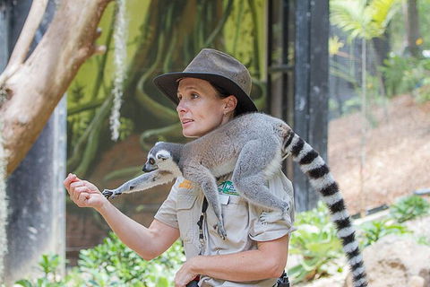 Currumbin Wildlife Sanctuary General Entry Ticket - Accommodation Main Beach 7