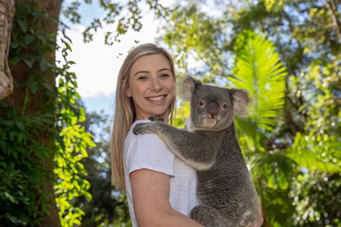 Currumbin Wildlife Sanctuary General Entry Ticket - Accommodation Main Beach 0