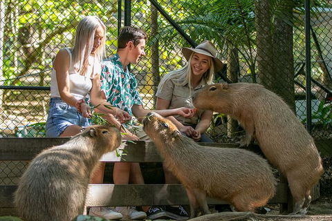 Currumbin Wildlife Sanctuary General Entry Ticket - Accommodation Main Beach 16