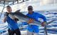 Gold Coast Half-Day Fishing Charter - thumb 0