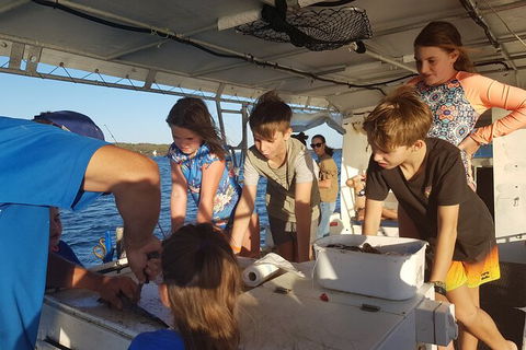 Gold Coast Half-Day Fishing Charter - Accommodation Main Beach 2