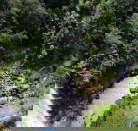 Full-day Springbrook National Park Tour from the Gold Coast - Accommodation Main Beach