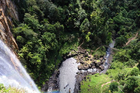 Full-day Springbrook National Park Tour From The Gold Coast - Accommodation Main Beach 0