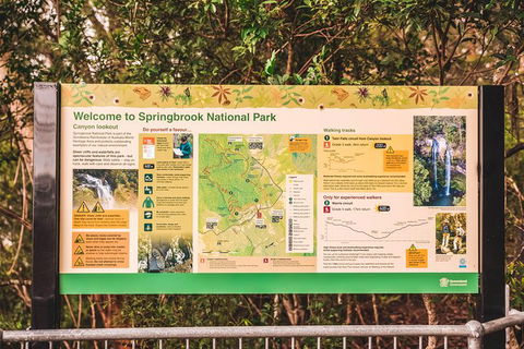 Full-day Springbrook National Park Tour From The Gold Coast - Accommodation Main Beach 4