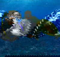 Gold Coast Try-Scuba Experience at Wave Break Island - Accommodation Main Beach