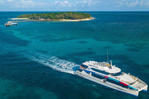 Ultimate 3-Day Great Barrier Reef Cruise Pass - Accommodation Main Beach 5