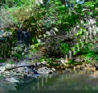 Gold Coast 4WD Eco Outback Tracks Tour - Accommodation Main Beach