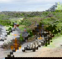 Gold Coast Segway Safari Adventure 90-minutes - Accommodation Main Beach