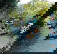 Gold Coast Segway Safari Adventure 60-minutes - Accommodation Main Beach
