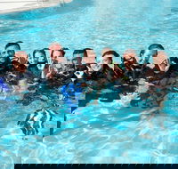 3-Day Open Water Certification Course on the Gold Coast - Accommodation Main Beach