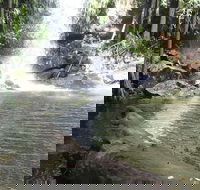 The Gold ExperiencePrivate Day Tour In Lamington National Park or Mt Tambourine - Accommodation Main Beach