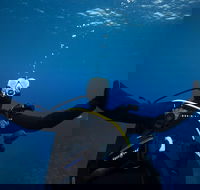 3- Day Advanced Open Water Diver Course on the Gold Coast - Accommodation Main Beach