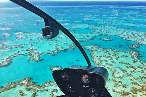 Reef & Whitehaven Landing - Accommodation Main Beach 2