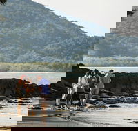 Sightseeing Tour - Full Day