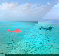 Port Douglas - Cruise and 10 Minute Scenic Flight