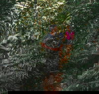 Cultural Tour - Full Day