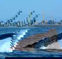 Gold Coast Airport to and from Byron Bay NSW for up-to 7 ppl - Accommodation Main Beach