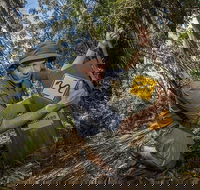 4-Day Australian Outback Tour from the Gold Coast to Sydney - Accommodation Main Beach