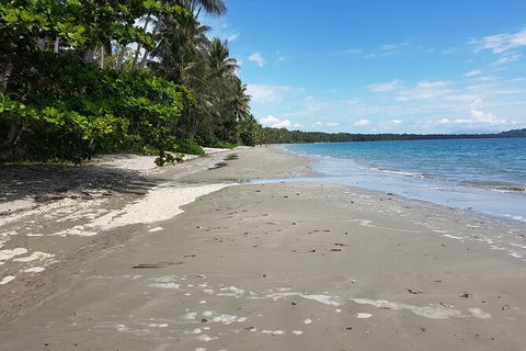 Airport Transfers Between Cairns Airport And Palm Cove - Accommodation Main Beach 2