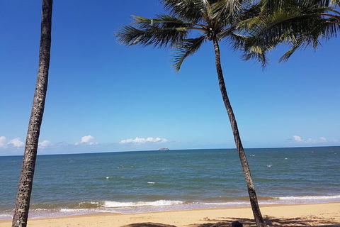 Airport Transfers Between Cairns Airport And Palm Cove - Accommodation Main Beach 8