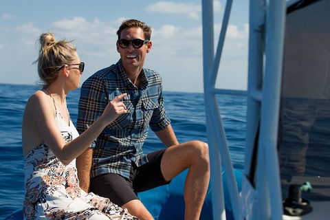 Private Tangalooma Wrecks Tour - Accommodation Main Beach 2
