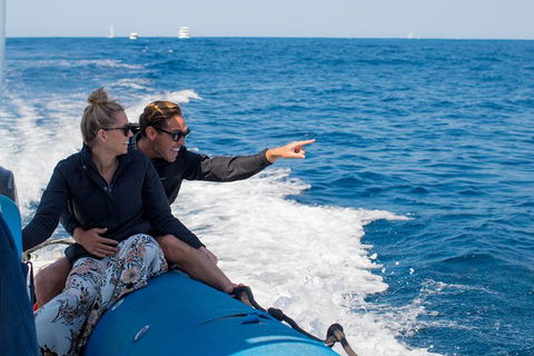 Private Tangalooma Wrecks Tour - Accommodation Main Beach 7