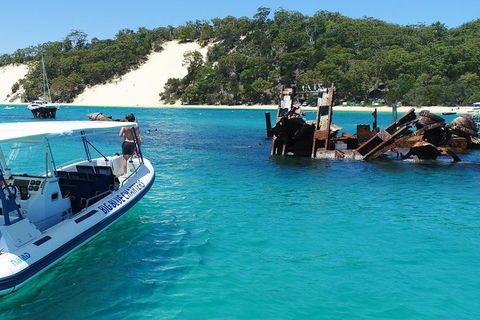 Private Tangalooma Wrecks Tour - Accommodation Main Beach 5