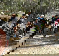 Gold Coast Mountain Bike Tour - Accommodation Main Beach