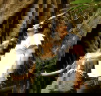 Daintree and Cape Tribulation Full Day Guided Tour