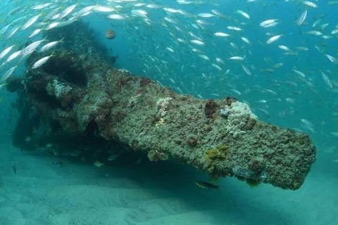 Dive The Scottish Prince Shipwreck - Accommodation Main Beach 1