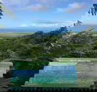 Daintree Luxury Limousine Tour - Full Day - Accommodation Main Beach