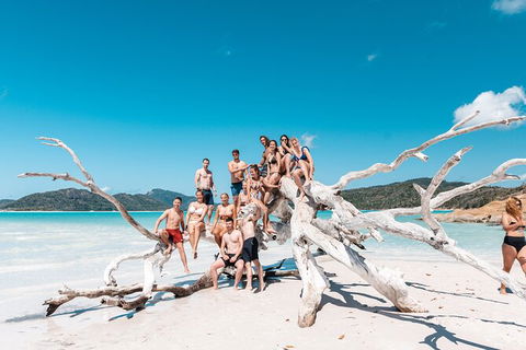4 Day And 3 Night Whitsunday Maxi Sailing Adventure On Condor - Accommodation Main Beach 5