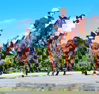 Mid-Morning Beach Horse Ride in Cape Tribulation with Pick Up - Accommodation Main Beach