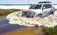 Full-Day Moreton Island 4x4 Sightseeing Tour - thumb 5