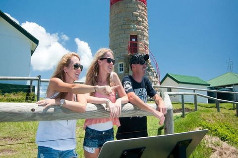 Full-Day Moreton Island 4x4 Sightseeing Tour - Accommodation Main Beach 1