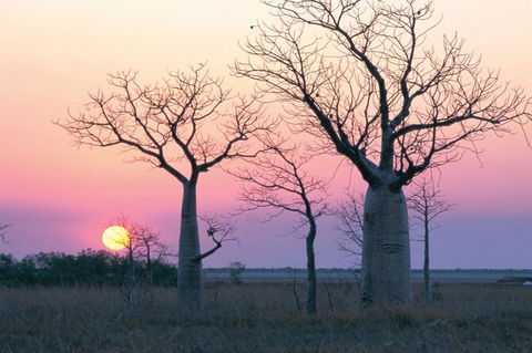 8-Day Outback Experience From Queensland - Accommodation Main Beach 0