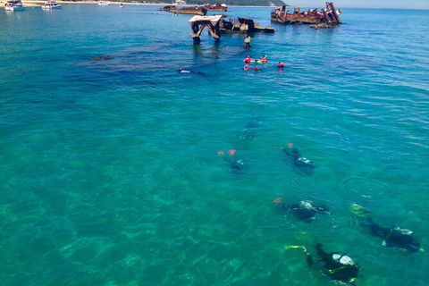 Adventure Moreton Island Scuba Dive Tour - Accommodation Main Beach 0