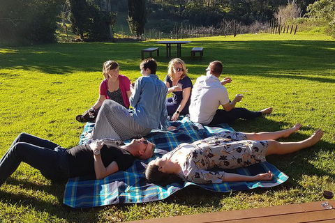 Mt Tamborine - Hinterland Wonders Self Guided - Accommodation Main Beach 1