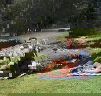 Mt Tamborine - Hinterland Wonders Self Guided - Accommodation Main Beach
