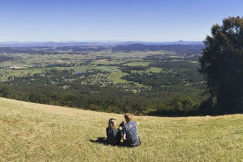 Mt Tamborine - Hinterland Wonders Self Guided - Accommodation Main Beach 2