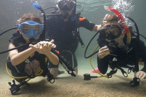Scuba Kids- Padi Bubblemaker Course - Accommodation Main Beach 4