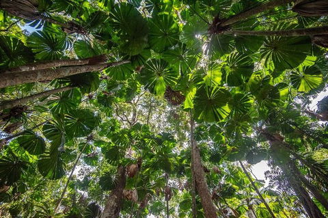 5 Day Australia Retreat: Queensland Daintree - Accommodation Main Beach 4