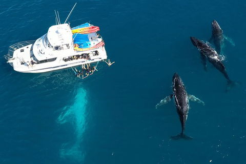 Remote Fraser Island & Whale Experience - Accommodation Main Beach 3